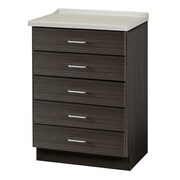 CLINTON Fashion Finish, Molded Top TX Cabinet w/ 5 Drawers, Twilight 8805-AF-2